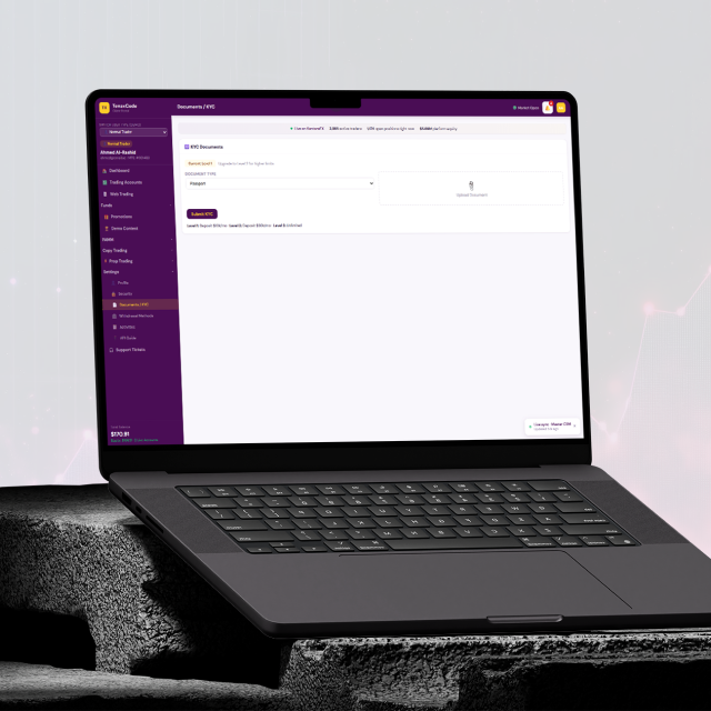 KYC upload and status interface