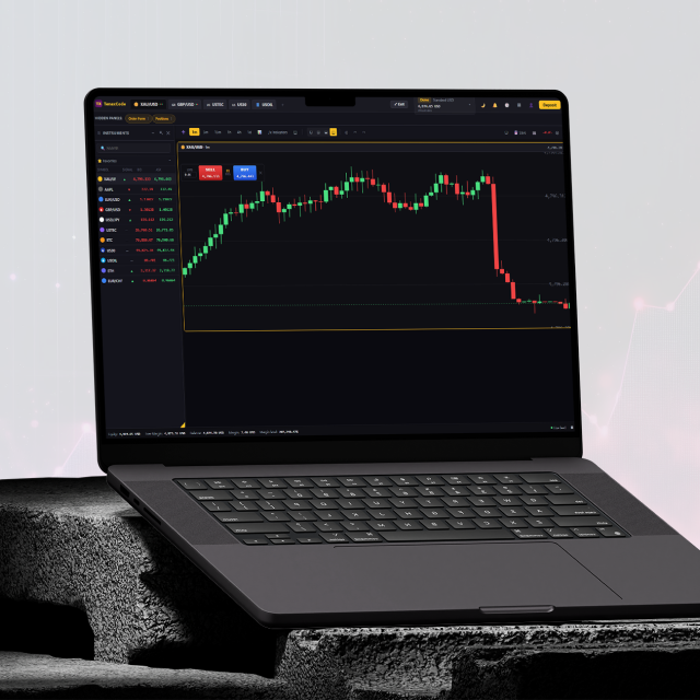 Main web terminal view