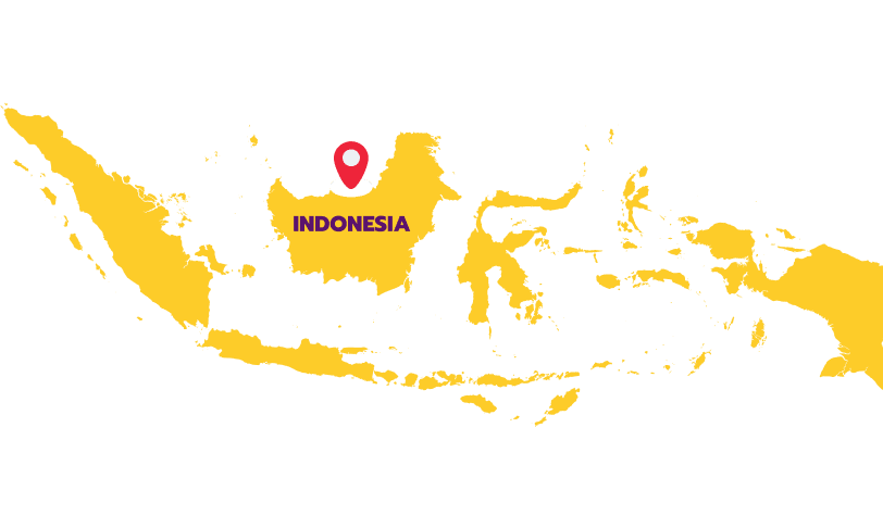 Forex CRM in Indonesia